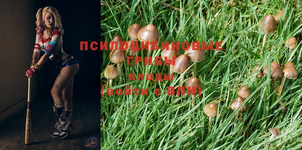 мдпв Ростов