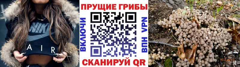 Галлюциногенные грибы Magic Shrooms  omg ссылки  Ханты-Мансийск  darknet Telegram  купить наркотик 