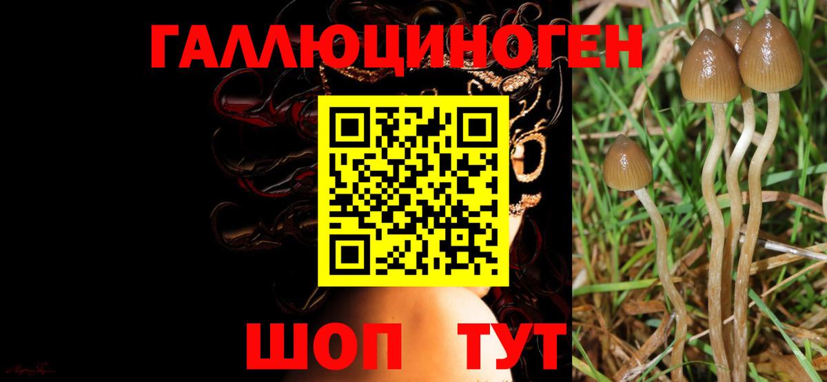 Псилоцибиновые грибы Cubensis Ханты-Мансийск
