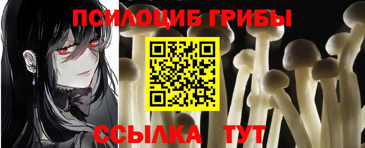 купить наркотики сайты  Вход с VPN  Ханты-Мансийск  Псилоцибиновые грибы Cubensis 